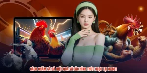 Cách Chăm Gà Đá Hiệu Quả Và Các Hình Thức Cược Tại 8XBET