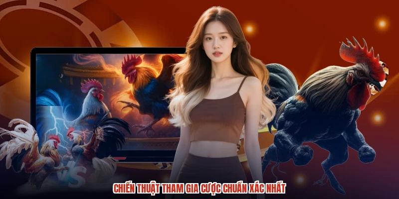 Chiến thuật tham gia cược chuẩn xác nhất