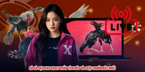 Đá Gà Cựa Dao 8XBET Phân Tích Kèo Và Cược Chuẩn Xác Nhất
