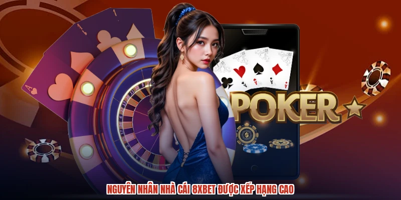 Nguyên nhân nhà cái 8XBET được xếp hạng cao