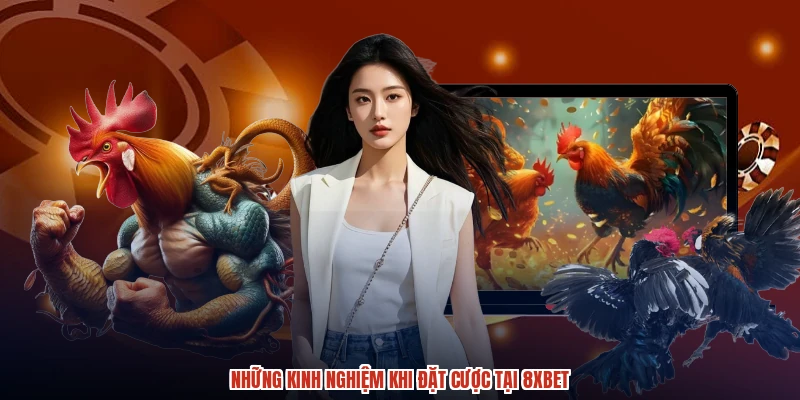 Những kinh nghiệm khi đặt cược tại 8XBET