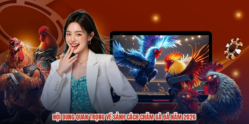Nội dung quan trọng về sảnh cách chăm gà đá năm 2026