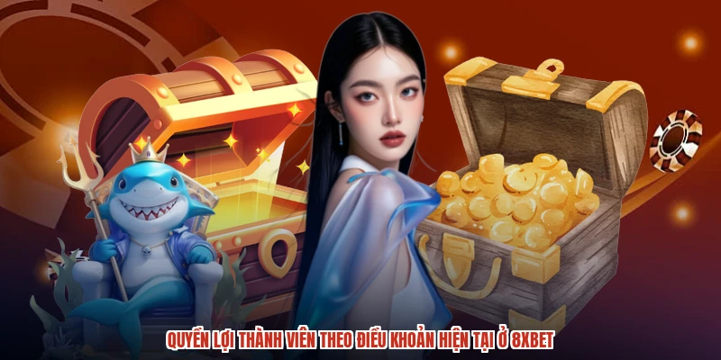 Quyền lợi thành viên theo điều khoản hiện tại ở 8XBET