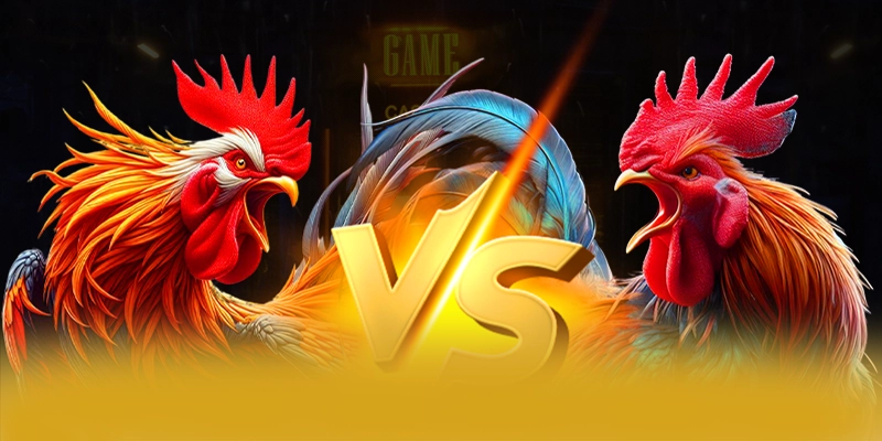 Phản hồi từ cộng đồng người chơi về BET88