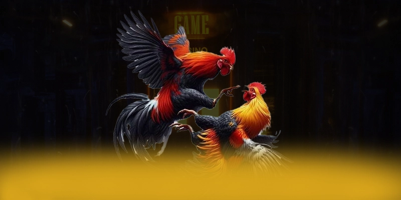 8xbet - Trang game tối ưu tại Việt Nam 8xbet - Trang game tối ưu tại Việt Nam