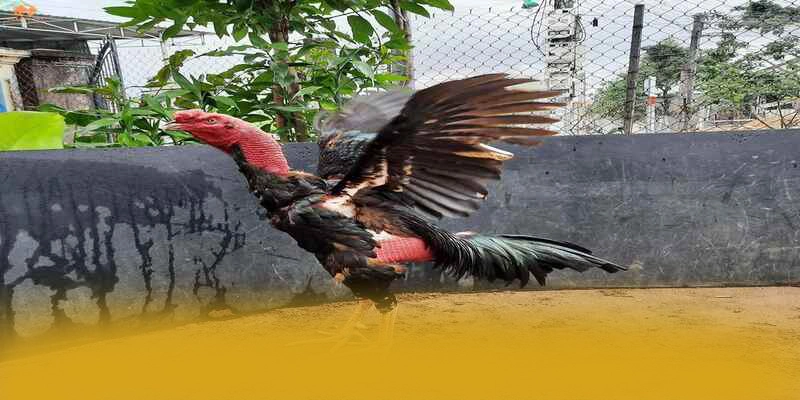 Phương thức giao dịch đa dạng tại 8XBET