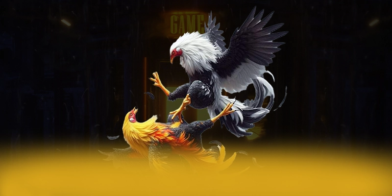 BET88 - Trang game có danh mục game hấp dẫn hiện nay
