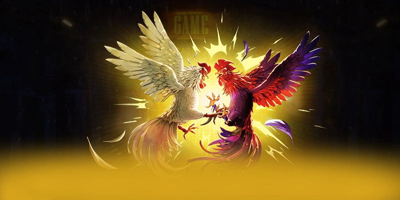 BET168 - Nhà cái ổn định hiện nay